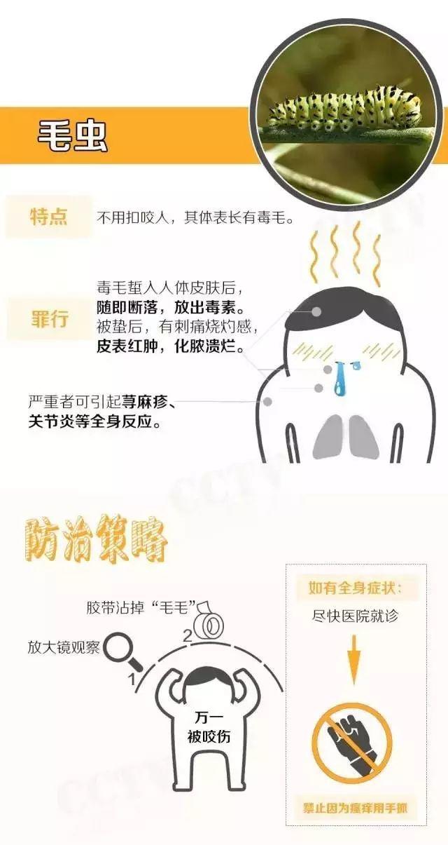 头皮发麻！最近很多东莞街坊吓得不敢开灯……