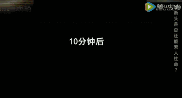 吓哭！东莞多个镇街和公园有蛇出没！一定要远离！有极强攻击性！