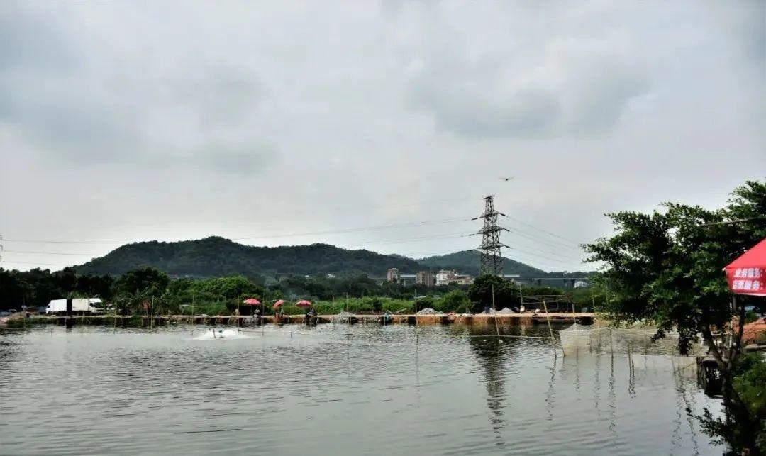 发达! 东莞一地每户分近400㎡安置房? 这次有你吗?