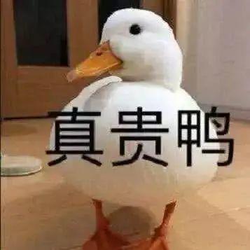 又涨了? 东莞11所"天价"幼儿园曝光, 接近20万/年!