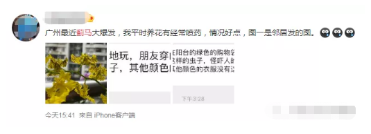 东莞人注意！近期尽量别穿黄色、绿色、银灰色衣服出街！否则…