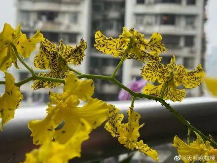东莞人注意！近期尽量别穿黄色、绿色、银灰色衣服出街！否则…