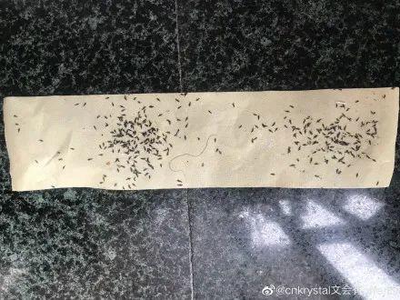 东莞人注意！近期尽量别穿黄色、绿色、银灰色衣服出街！否则…