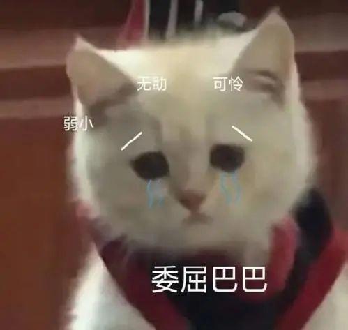 冷空气又来了！降温+暴雨套餐上线！听说还有台风要搞事？