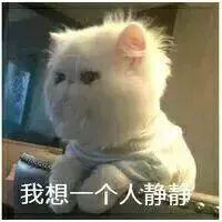 冷空气又来了！降温+暴雨套餐上线！听说还有台风要搞事？