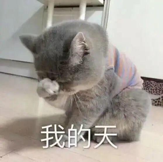 又涨了? 东莞11所"天价"幼儿园曝光, 接近20万/年!