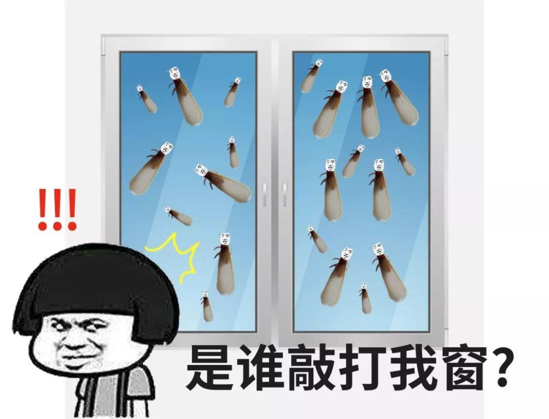 头皮发麻！最近很多东莞街坊吓得不敢开灯……