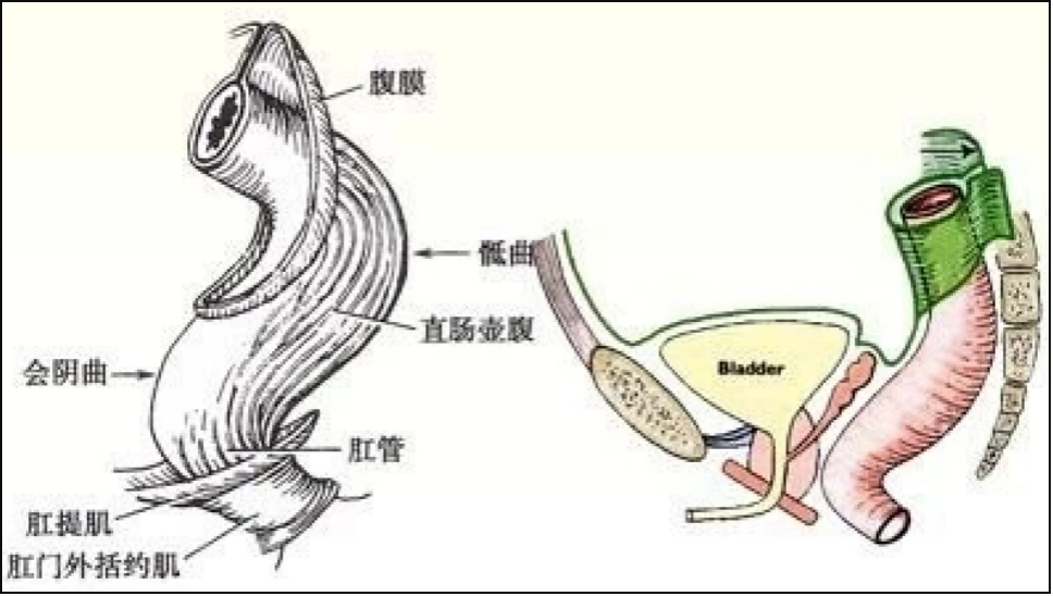 突发奇想! 14岁男孩竟把活的小龙虾, 塞进自己的......