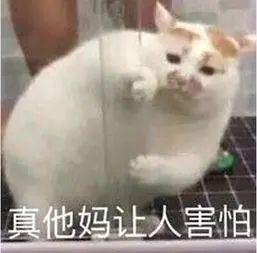 突发奇想! 14岁男孩竟把活的小龙虾, 塞进自己的......