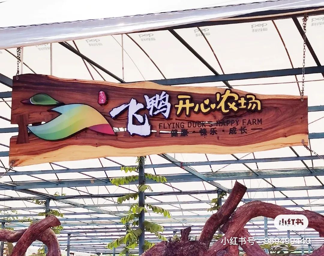 五一怎么玩？美到窒息的出游地，东莞1-2天绝佳玩法推荐~