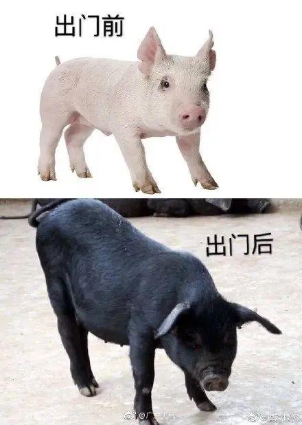 0℃+雷暴雨+8级大风，龙舟水要来了！更可怕的是将会停电！"