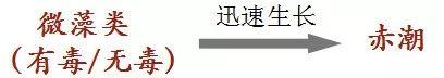 中毒高发期！东莞人爱吃的这种海鲜，最近少吃！0.5毫克可致命！
