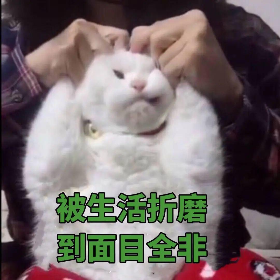 突然官宣! 彻底淘汰! 很多东莞人都用过......