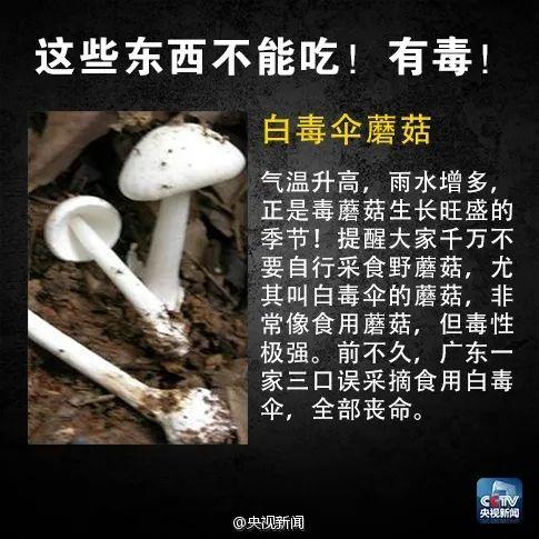 广东已有多人中毒！这种家常菜一旦发苦，赶紧扔掉