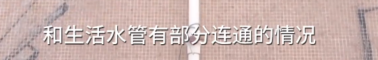 可怕! 东莞一小区自来水惊现红色的活虫! 街坊: 不敢洗澡了!