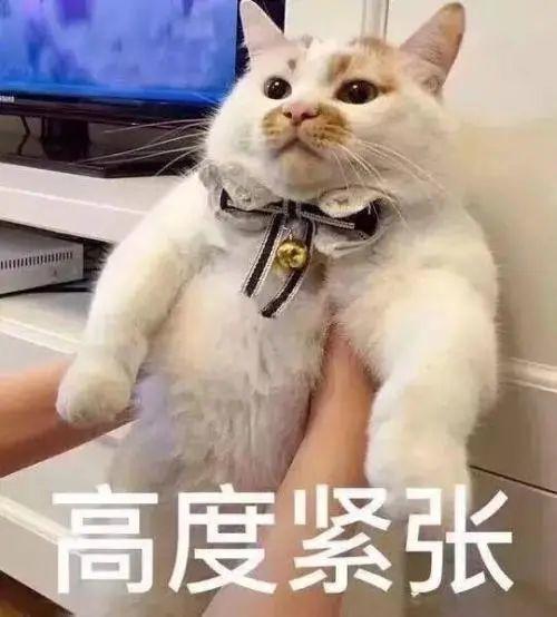 突发奇想! 14岁男孩竟把活的小龙虾, 塞进自己的......