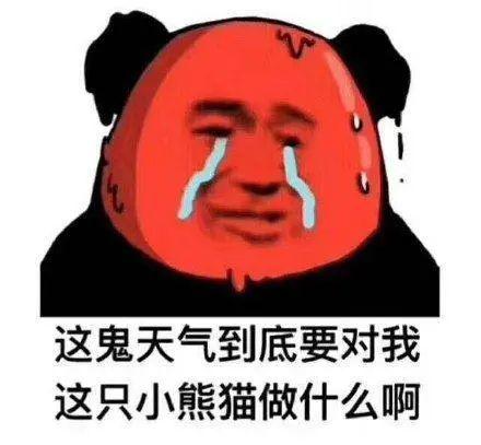 冰雹+雷雨大风+高温！新一轮暴雨，将在今天杀到东莞！但更可怕的是……