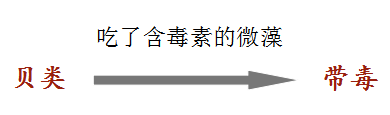 中毒高发期！东莞人爱吃的这种海鲜，最近少吃！0.5毫克可致命！