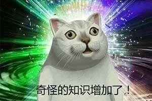 突发奇想! 14岁男孩竟把活的小龙虾, 塞进自己的......