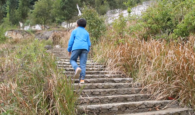 提醒！东莞这种“桑葚”不要买！有人吃完后，出事了……