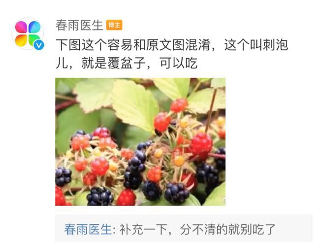提醒！东莞这种“桑葚”不要买！有人吃完后，出事了……