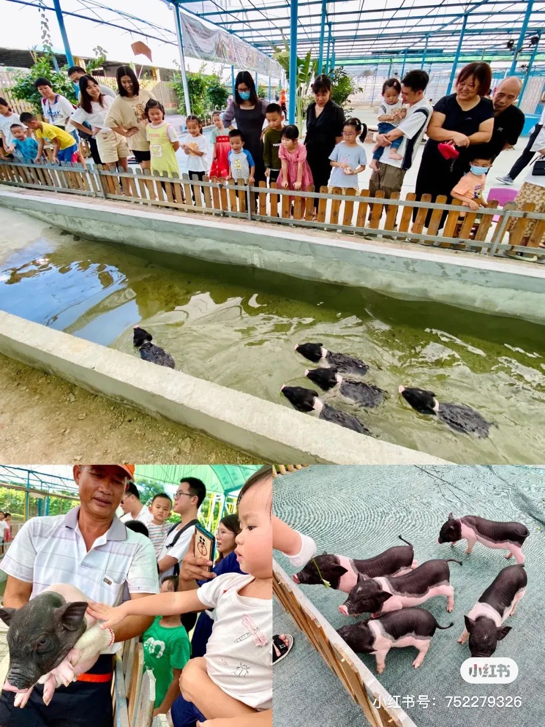 五一怎么玩？美到窒息的出游地，东莞1-2天绝佳玩法推荐~