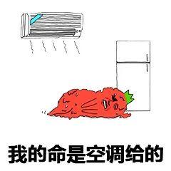 恐怖！又一个台风要来了？！未来几天雷暴+暴雨+8级大风！