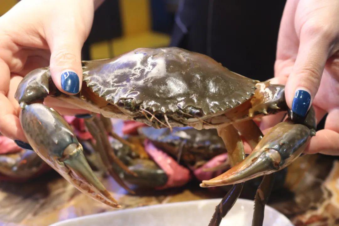 9元抢『星级火锅烤肉自助』！三眼蟹、生蚝、海参、寿司…200+菜品无限畅吃！"