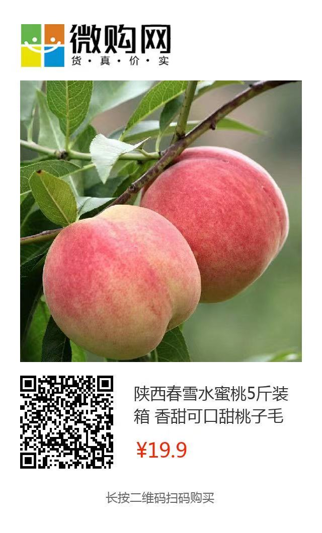 9.9元/箱！陕西第一波水蜜桃新鲜上市！春雪蜜桃香脆多汁，满口甜蜜！"