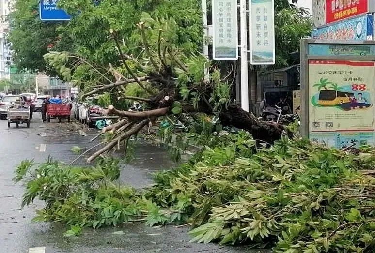 恐怖！又一个台风要来了？！未来几天雷暴+暴雨+8级大风！