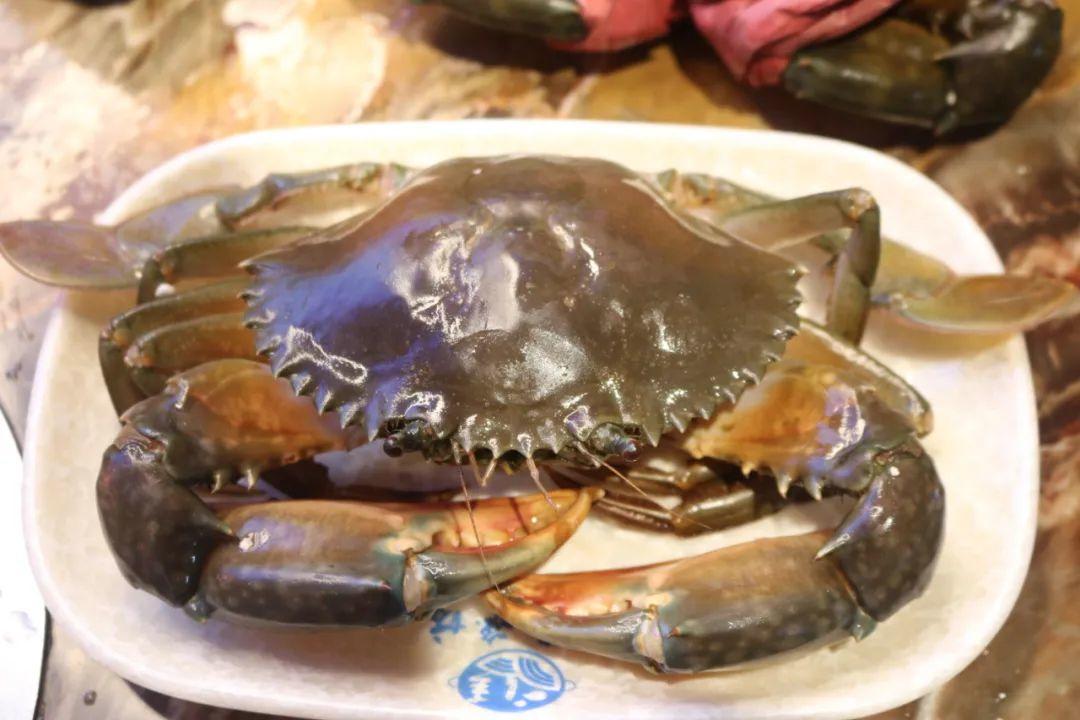 9元抢『星级火锅烤肉自助』！三眼蟹、生蚝、海参、寿司…200+菜品无限畅吃！"