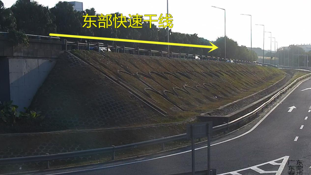 东莞人速看！端午出游避堵攻略来了！