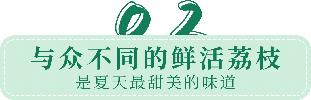 东莞荔枝采摘打卡地出炉！16元/人荔枝园畅吃！再送1斤桂味，玩上一整天~