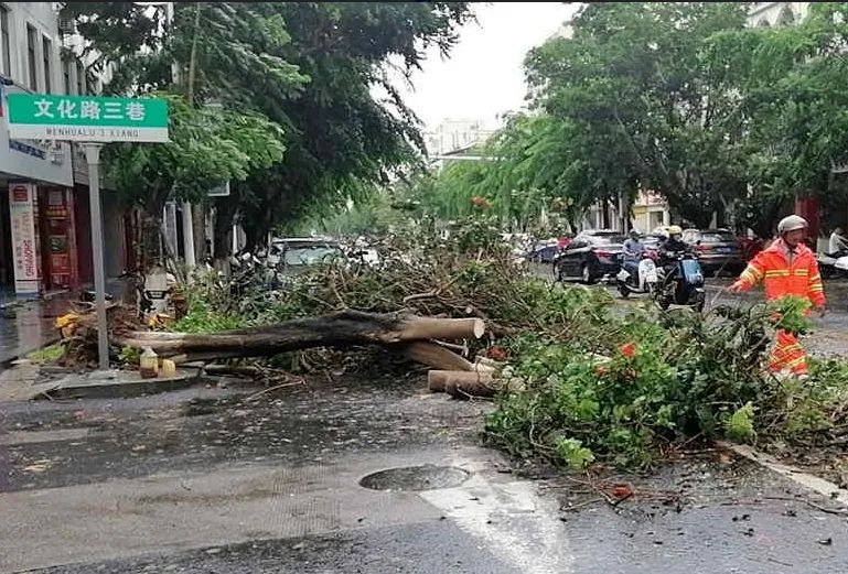 恐怖！又一个台风要来了？！未来几天雷暴+暴雨+8级大风！