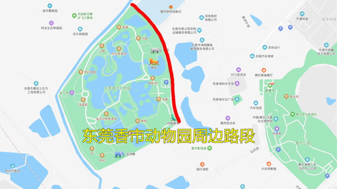 东莞人速看！端午出游避堵攻略来了！