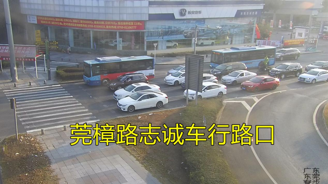 东莞人速看！端午出游避堵攻略来了！