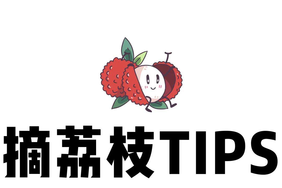 东莞荔枝采摘打卡地出炉！16元/人荔枝园畅吃！再送1斤桂味，玩上一整天~