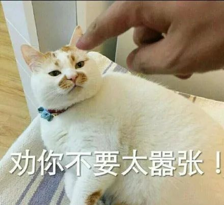 这位粤S866**车主你出名了！