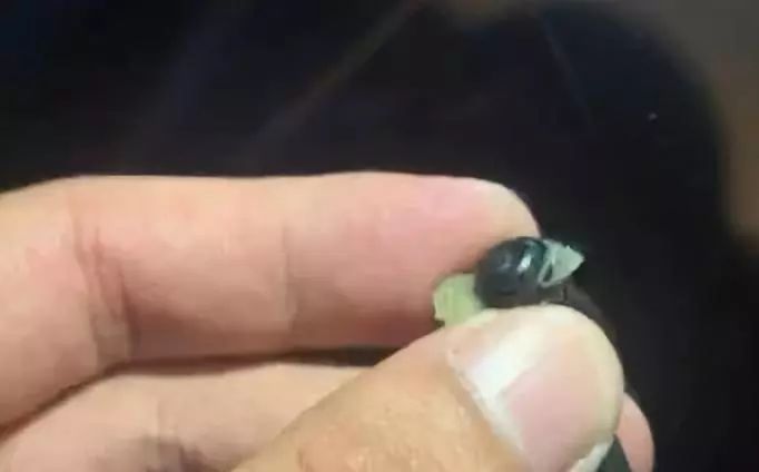 可怕! 一知名连锁酒店被曝藏摄像头! 东莞有很多家...