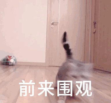 东莞隐贤山庄请全城人一起来看烟花啦！闪耀全城，许下一生的浪漫！