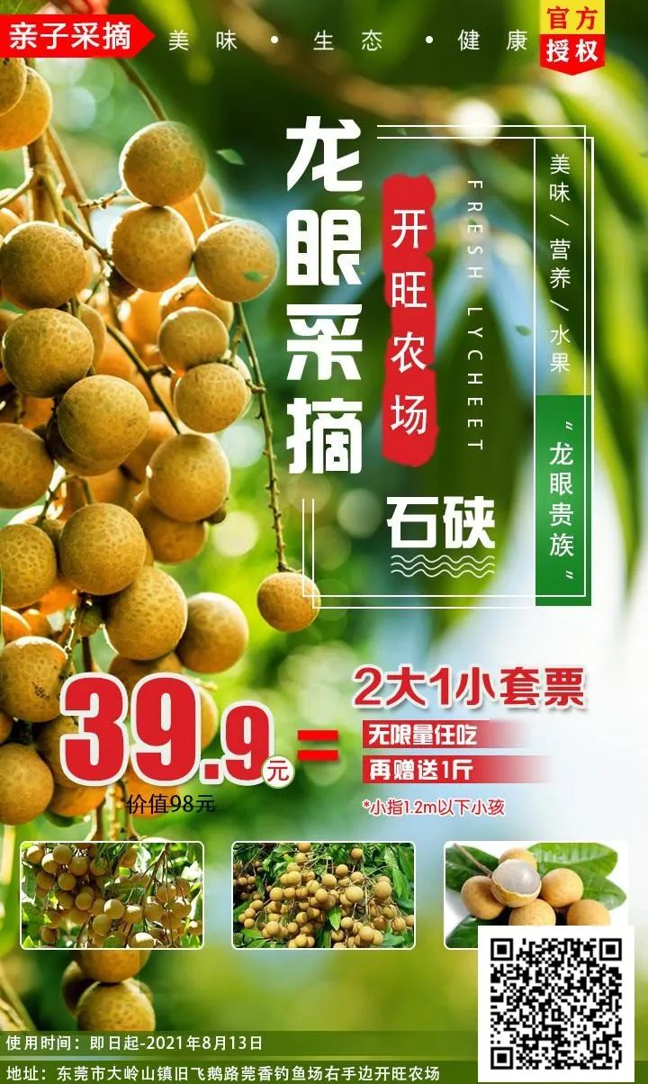 暑期去哪里，13元/人！当季石硖龙眼果园任摘任吃，下单即送1斤~
