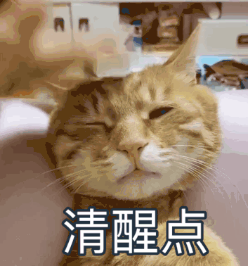 东莞这位司机醉驾还敢低头翻手机？结果悲剧了！