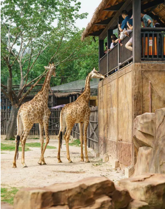 独家特价丨99元秒抢“隐贤山庄”8大主题乐园门票！水上乐园、3D玻璃桥、花海、动物园..