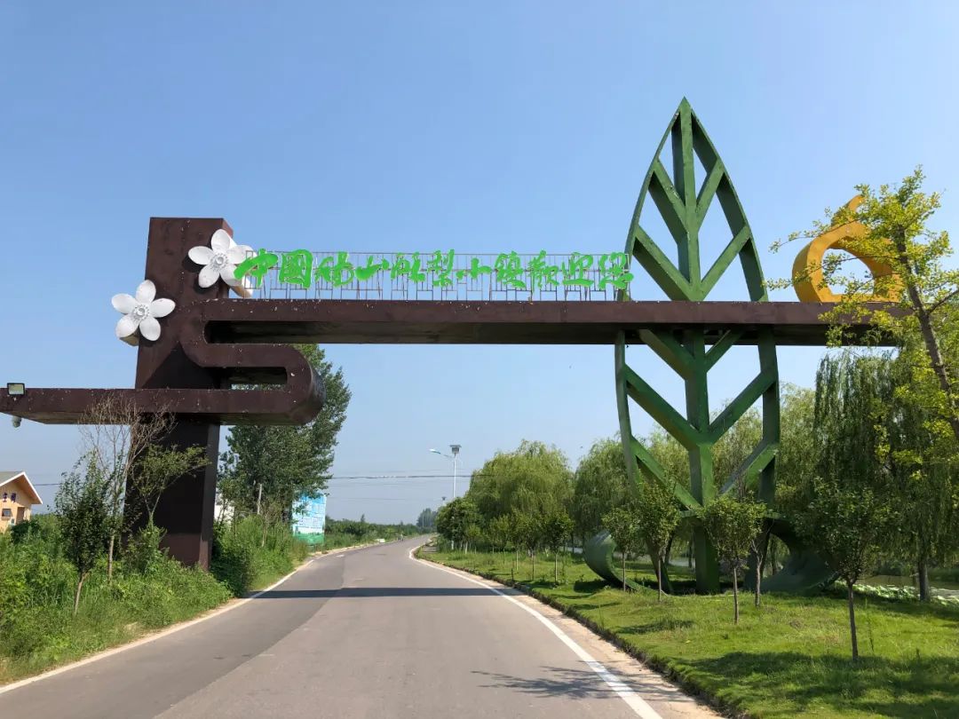 火爆！！29.9/10斤包邮，酸甜爆汁的砀山83黄桃，新鲜正当季现摘现发，新鲜美味！