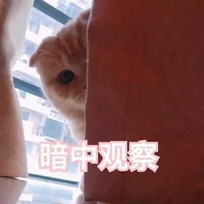 可怕! 一知名连锁酒店被曝藏摄像头! 东莞有很多家...