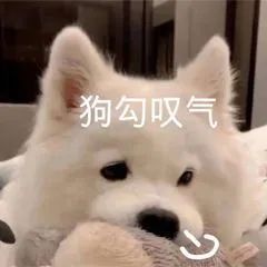 悲剧！东莞一人失踪，别再这样做了！