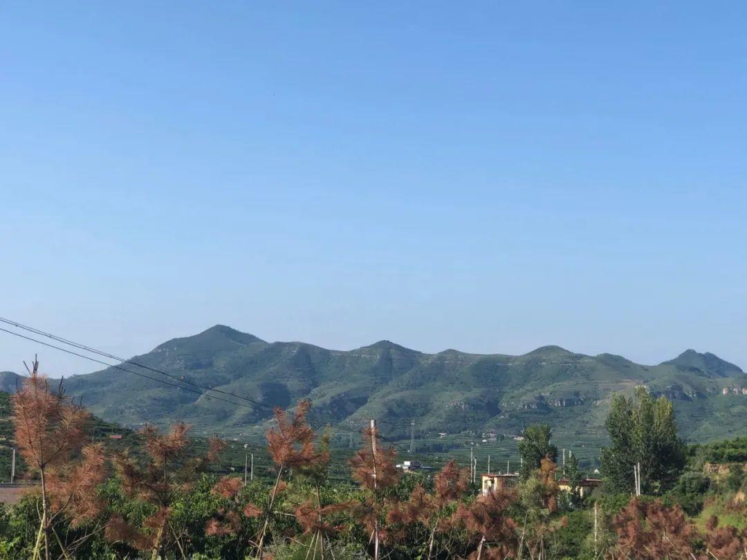 高山果园正宗蒙阴蜜桃，25.9/箱京东包邮！新鲜现摘，肉甜多汁，口感醇香，脆甜多汁！