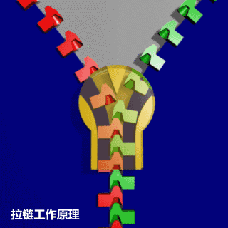 粤S注意！东莞这里试点“拉链式”交替通行，小心被罚！