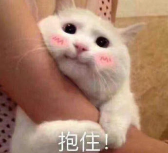月狂欢节！@东莞人，清空购物车，万科帮你买单！"