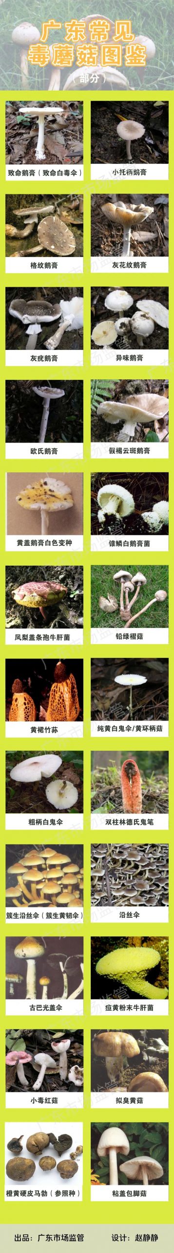 东莞发布紧急通知！这些千万不要吃！
